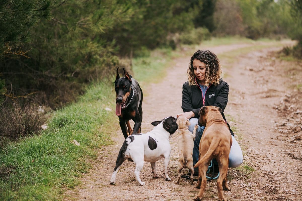 Mulher agachada em uma trilha cercada por três cães de portes diferentes